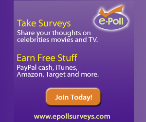 e-poll-2