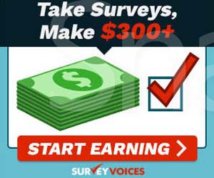 surveyvoices